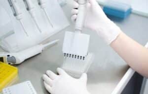 Polskie laboratorium